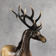 Picturesque LE-5 EFCM Arabian Stallion by Ellen Robbins & Melanie Miller YP26
