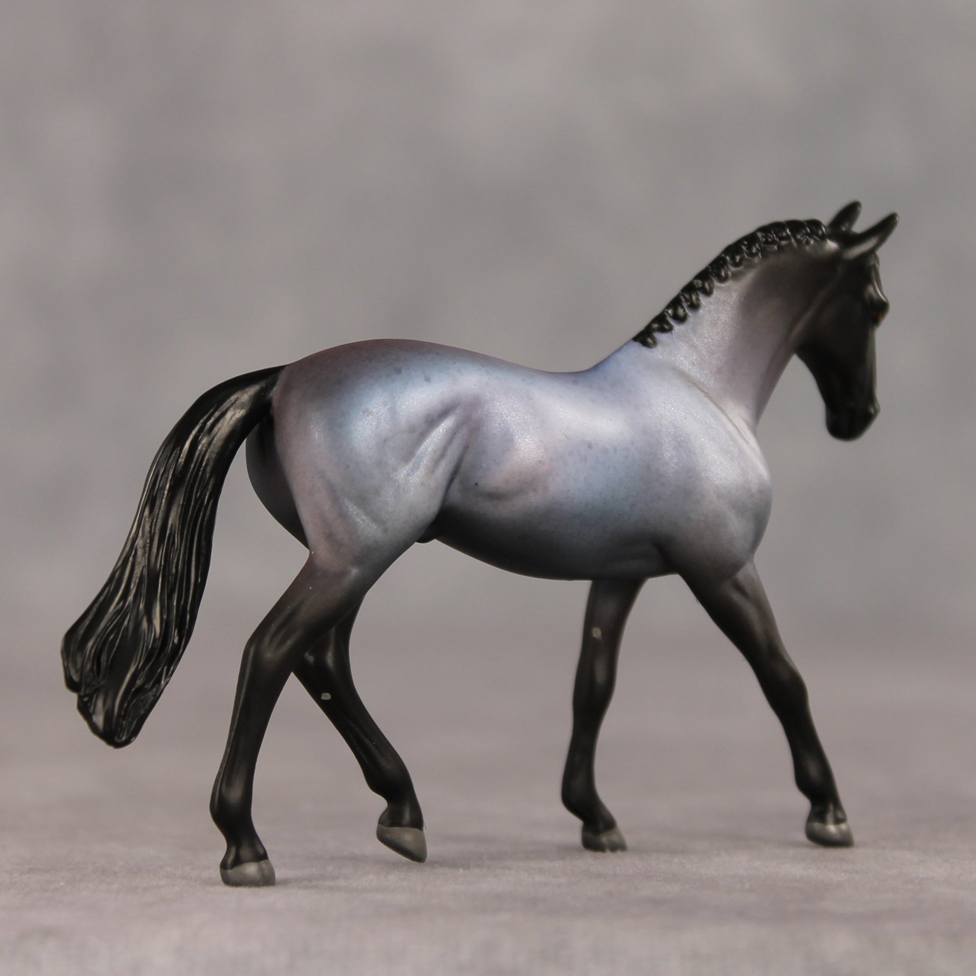 Upper Crust LE-5 Chip Warmblood by Jess Hamill SCD26