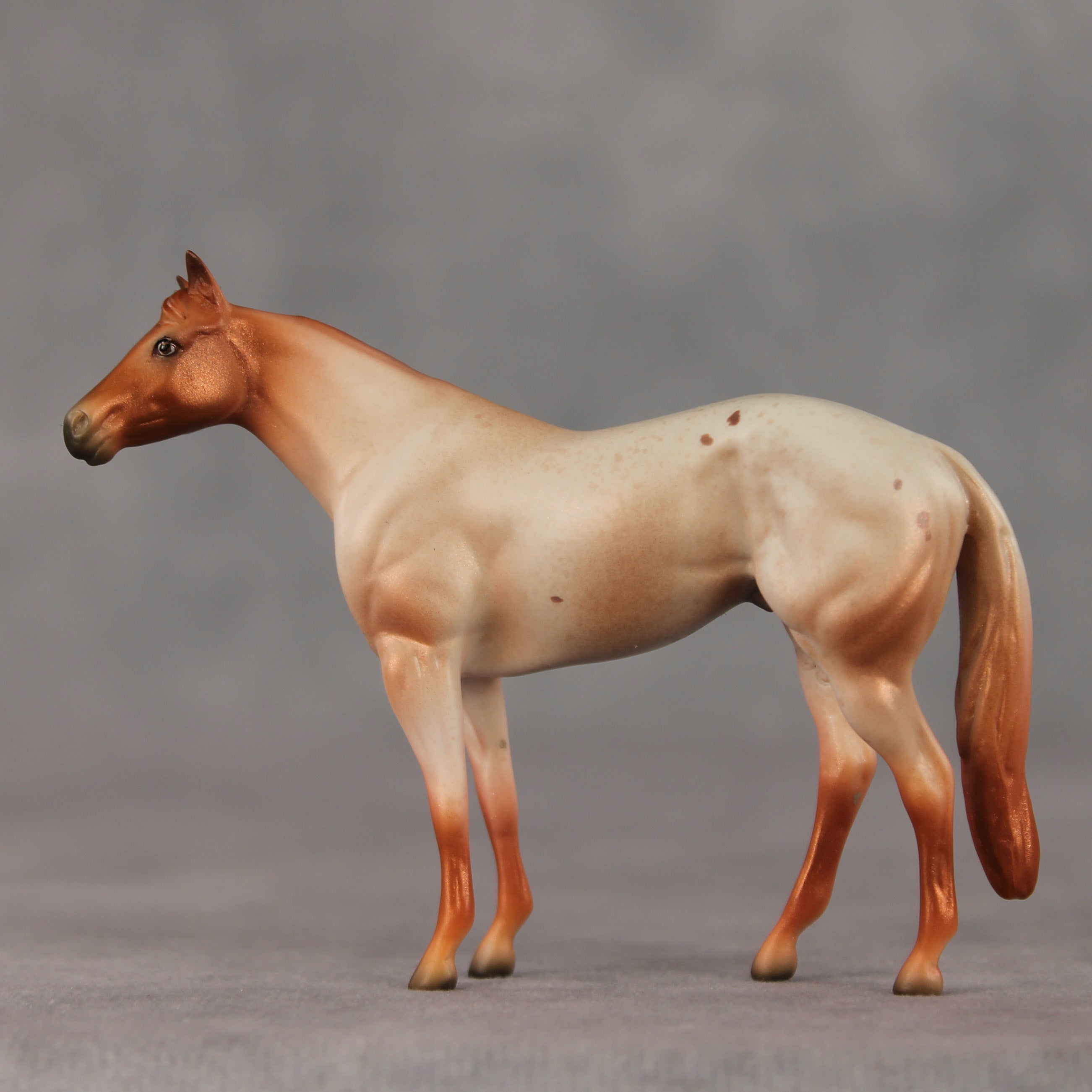 Home Slice LE-5 Chip Stock Horse by Jess Hamill SCD26