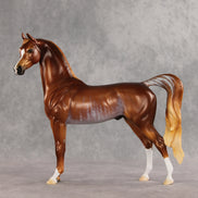 Fluvial LE-25 EFCM Arabian Stallion by Ellen Robbins & Melanie Miller YP26