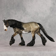 Esquites OOAK FCM Irish Cob by Julie Keim & Stone Team DDOOAKs26