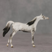 General Relativity LE-5 Chip Arabian by Ellen Robbins SCD26