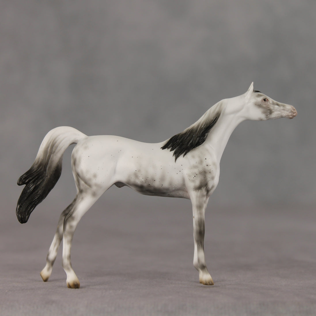 General Relativity LE-5 Chip Arabian by Ellen Robbins SCD26