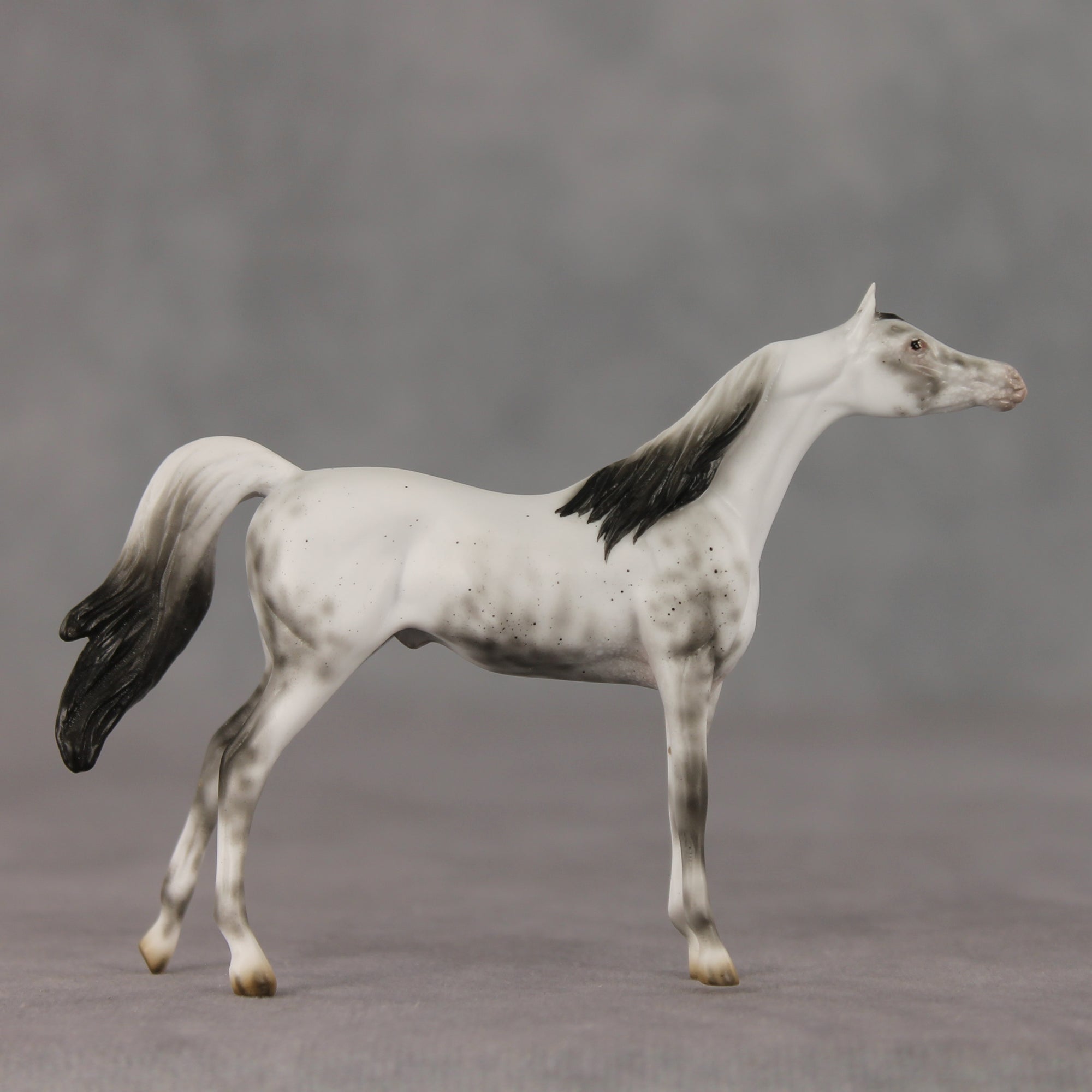 General Relativity LE-5 Chip Arabian by Ellen Robbins SCD26