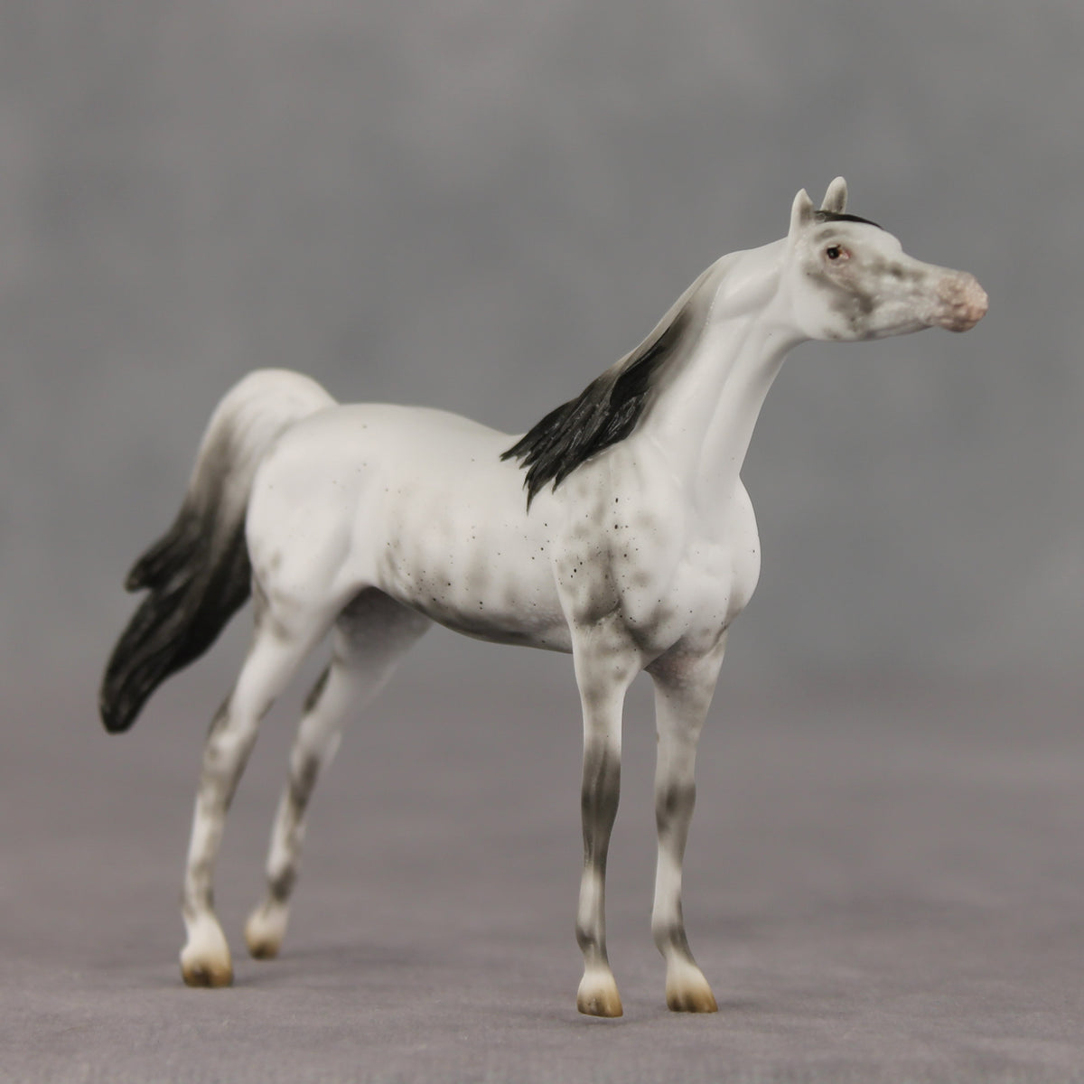 General Relativity LE-5 Chip Arabian by Ellen Robbins SCD26
