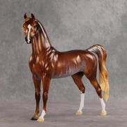 Fluvial LE-25 EFCM Arabian Stallion by Ellen Robbins & Melanie Miller YP26
