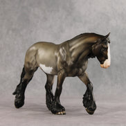 Esquites OOAK FCM Irish Cob by Julie Keim & Stone Team DDOOAKs26