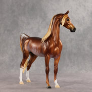 Fluvial LE-25 EFCM Arabian Stallion by Ellen Robbins & Melanie Miller YP26