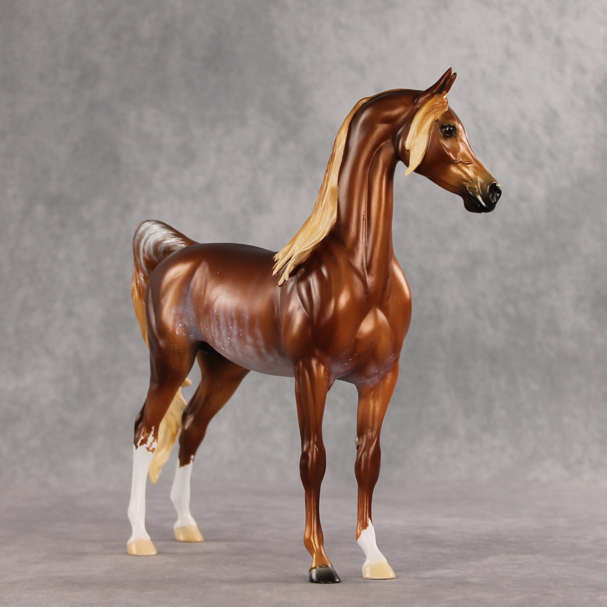 Fluvial LE-25 EFCM Arabian Stallion by Ellen Robbins & Melanie Miller YP26