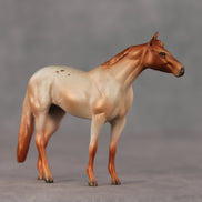 Home Slice LE-5 Chip Stock Horse by Jess Hamill SCD26