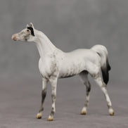 General Relativity LE-5 Chip Arabian by Ellen Robbins SCD26