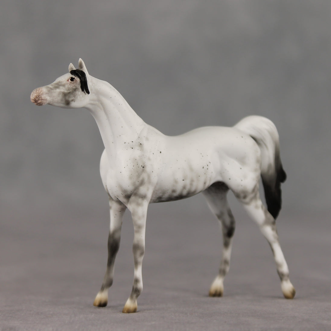 General Relativity LE-5 Chip Arabian by Ellen Robbins SCD26