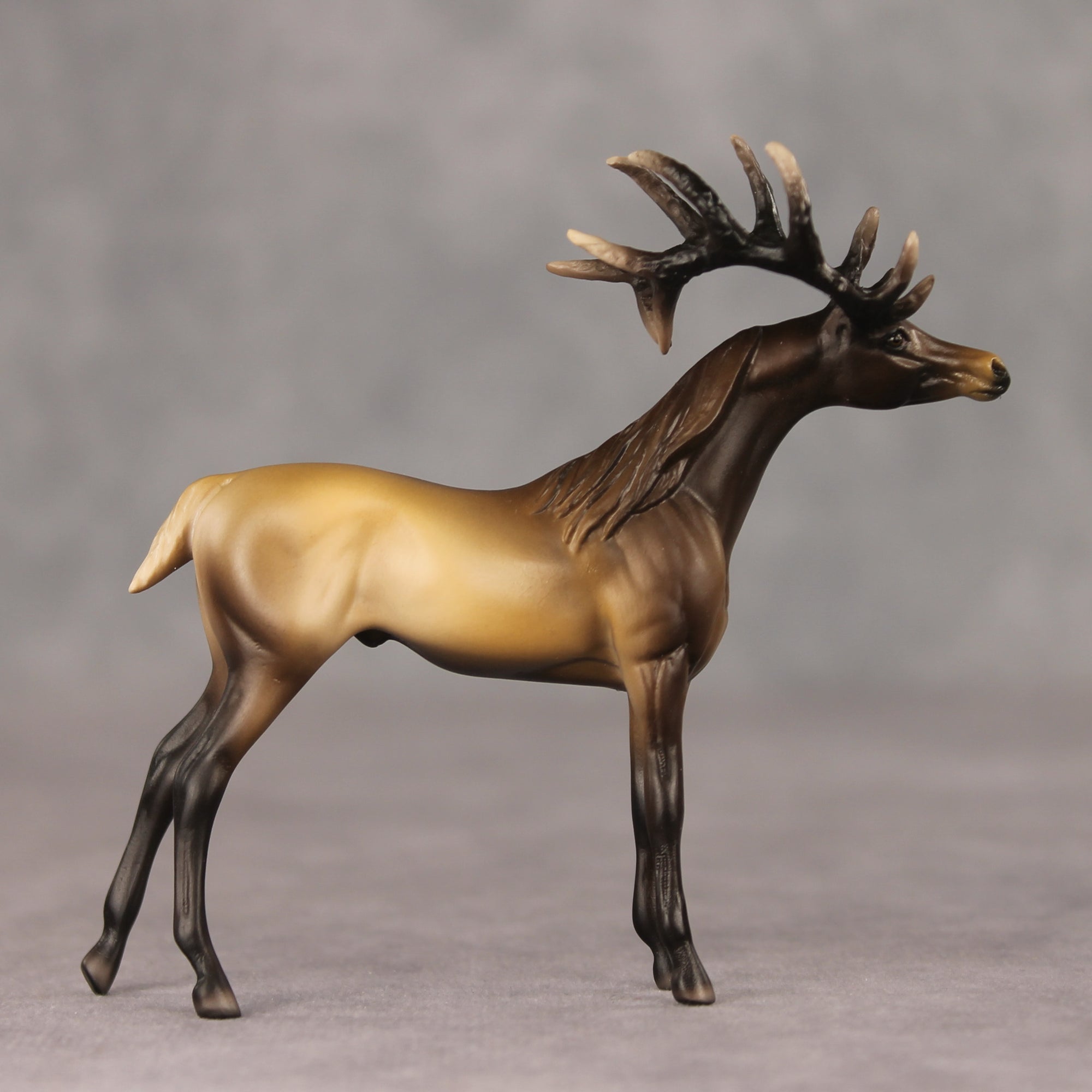 Serenity LE-5 EFCM Chip Arabian by Ellen Robbins &amp; Melanie Miller YP26