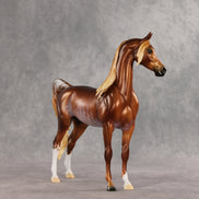 Fluvial LE-25 EFCM Arabian Stallion by Ellen Robbins & Melanie Miller YP26