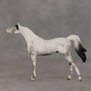 General Relativity LE-5 Chip Arabian by Ellen Robbins SCD26