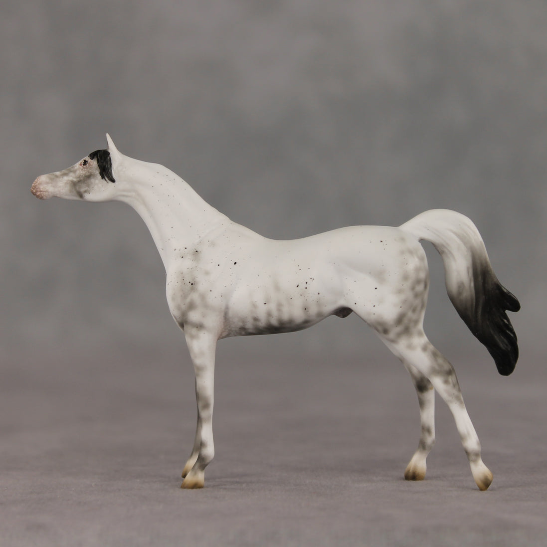 General Relativity LE-5 Chip Arabian by Ellen Robbins SCD26