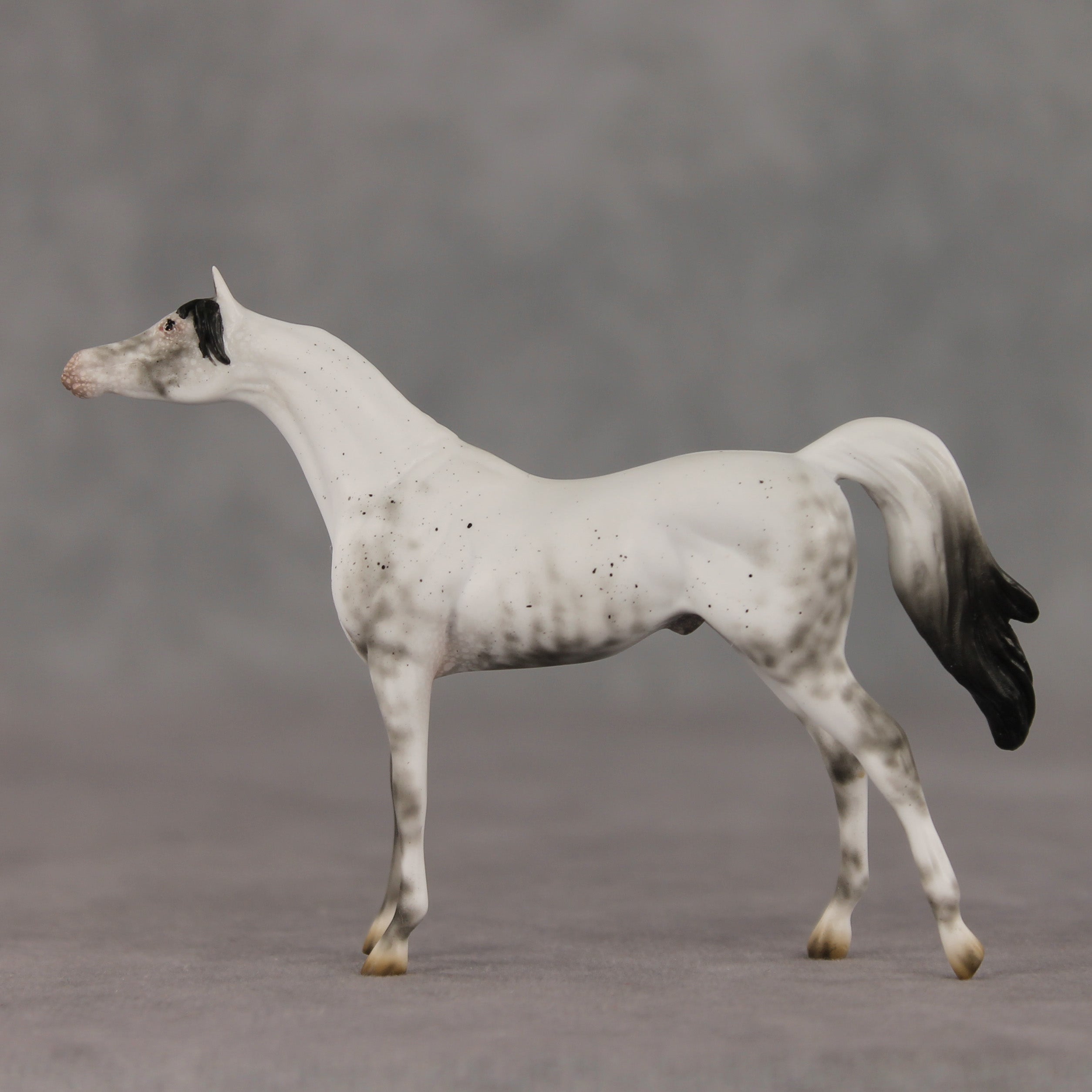 General Relativity LE-5 Chip Arabian by Ellen Robbins SCD26