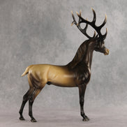 Picturesque LE-5 EFCM Arabian Stallion by Ellen Robbins & Melanie Miller YP26
