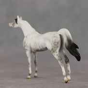 General Relativity LE-5 Chip Arabian by Ellen Robbins SCD26