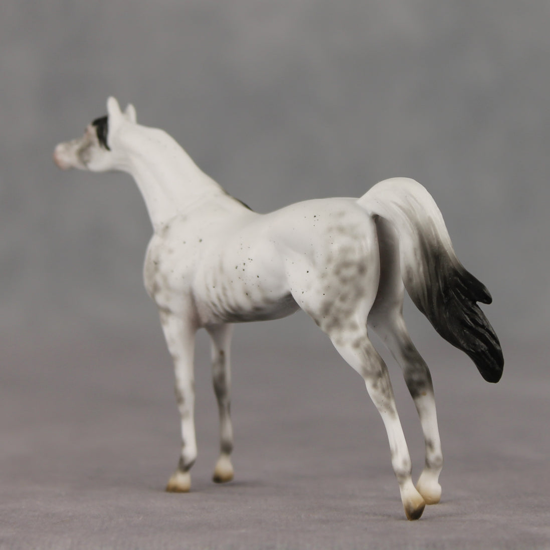 General Relativity LE-5 Chip Arabian by Ellen Robbins SCD26