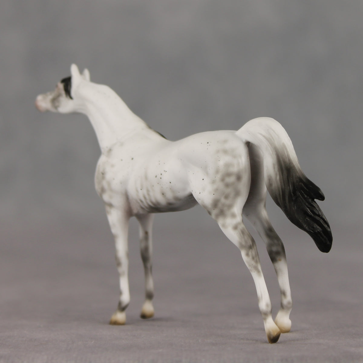 General Relativity LE-5 Chip Arabian by Ellen Robbins SCD26