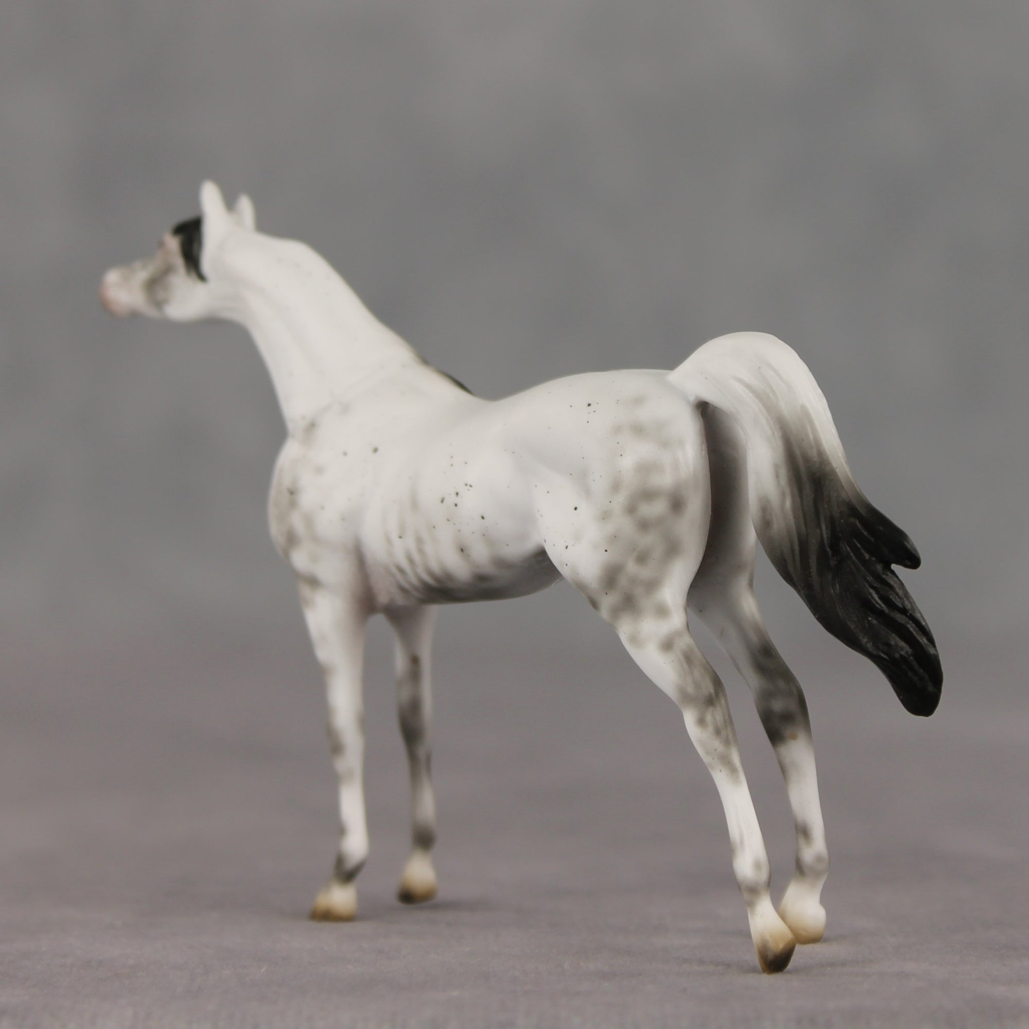 General Relativity LE-5 Chip Arabian by Ellen Robbins SCD26