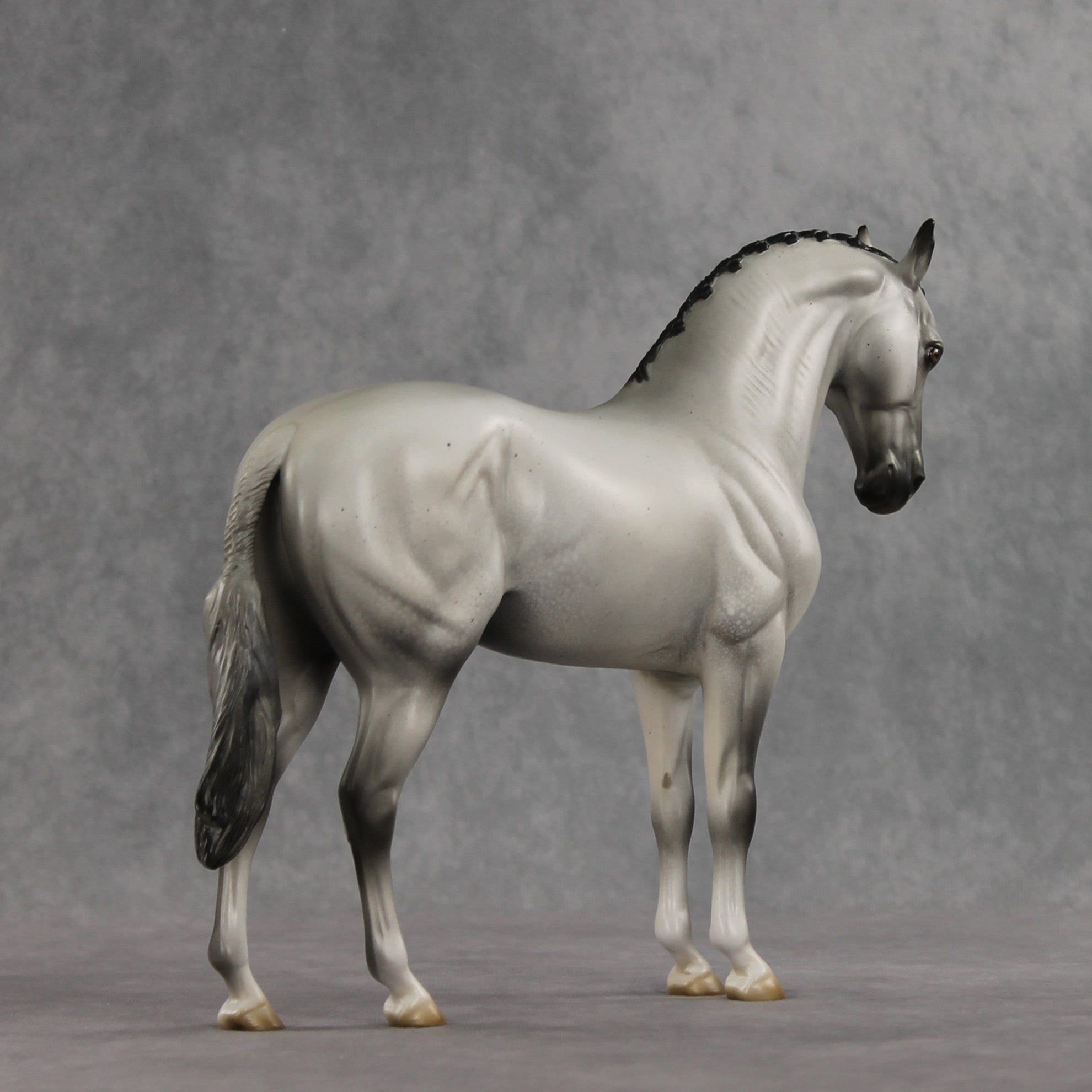 Ashes OOAK FCM Andalusian by Jess Hamill &amp; Stone Team DDOOAKs26