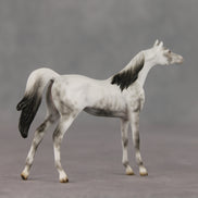 General Relativity LE-5 Chip Arabian by Ellen Robbins SCD26