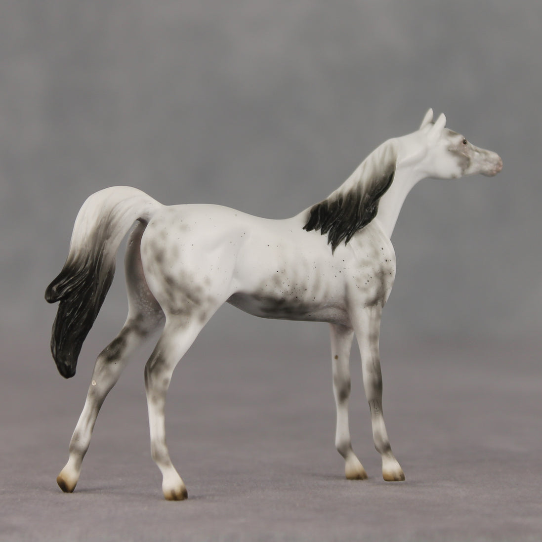 General Relativity LE-5 Chip Arabian by Ellen Robbins SCD26