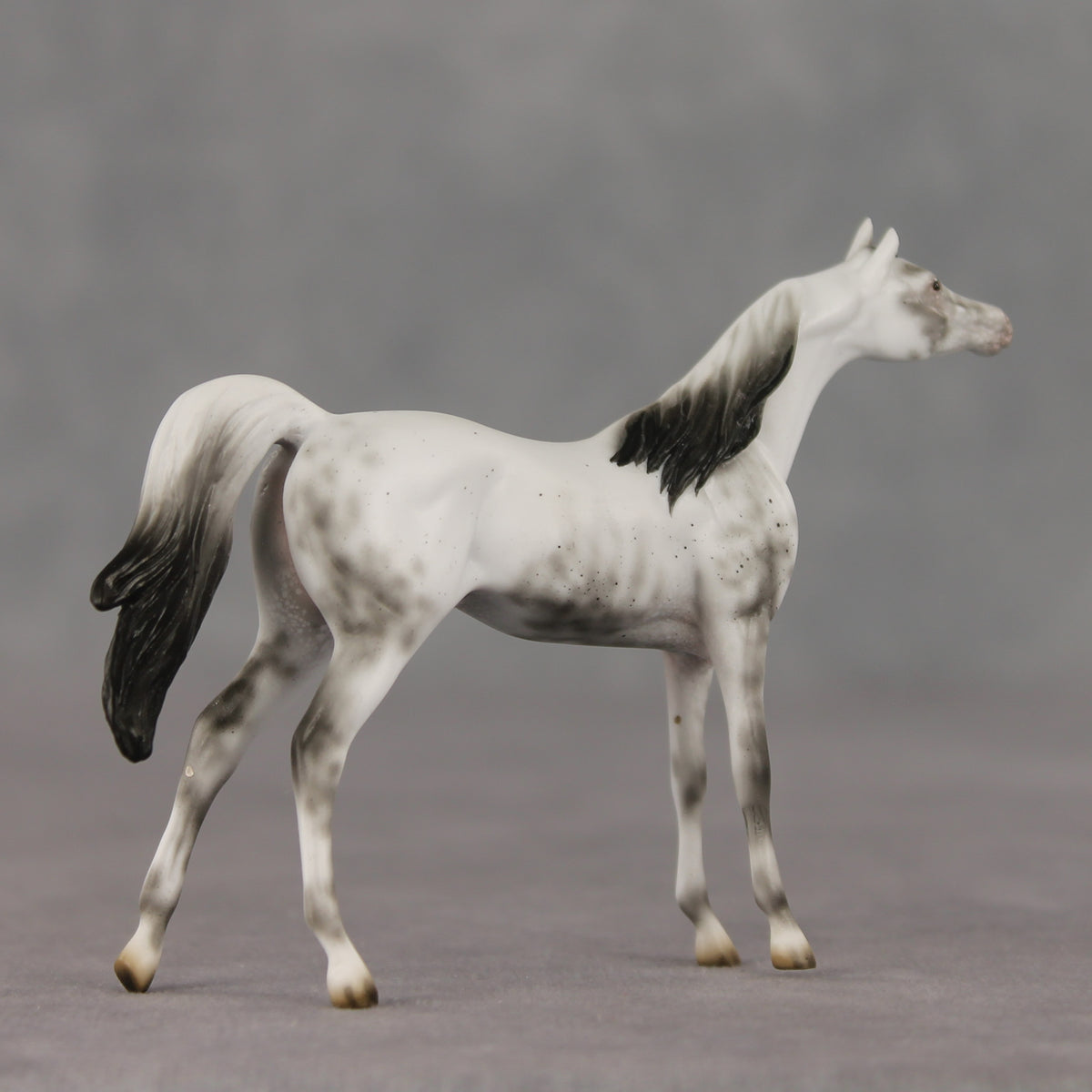 General Relativity LE-5 Chip Arabian by Ellen Robbins SCD26