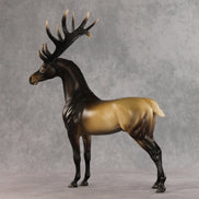 Picturesque LE-5 EFCM Arabian Stallion by Ellen Robbins & Melanie Miller YP26