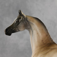 Thee Impressionist OOAK FCM Arabian Stallion by Stephanie Blaylock & Matt Samuels Best Offer 3.10.2026