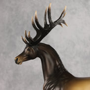 Picturesque LE-5 EFCM Arabian Stallion by Ellen Robbins & Melanie Miller YP26