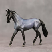 Upper Crust LE-5 Chip Warmblood by Jess Hamill SCD26