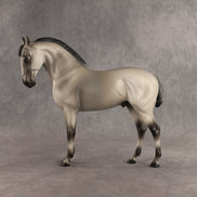 Valen LE-15 EFCM Andalusian by Anna Rieck PFP26