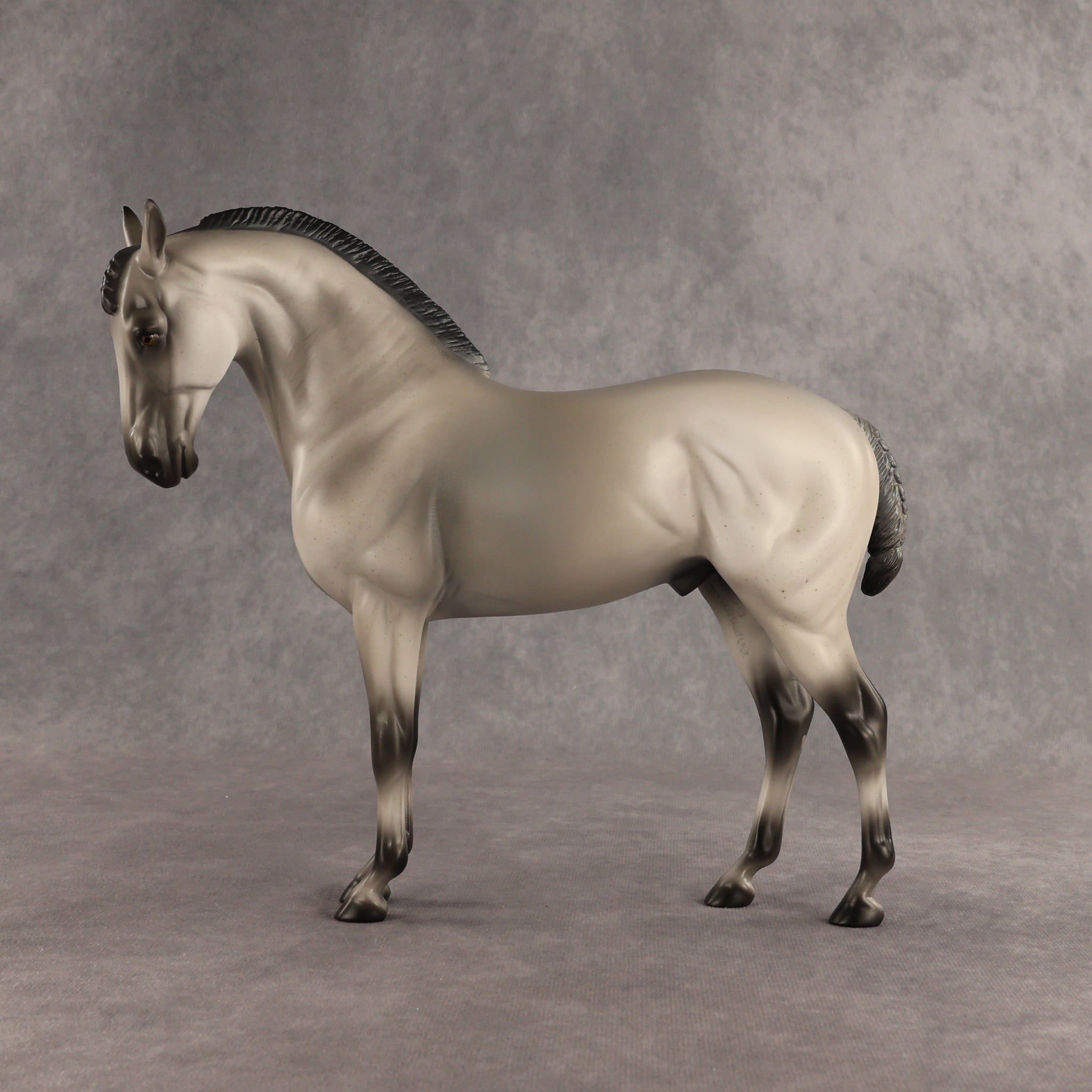 Valen LE-15 EFCM Andalusian by Anna Rieck PFP26