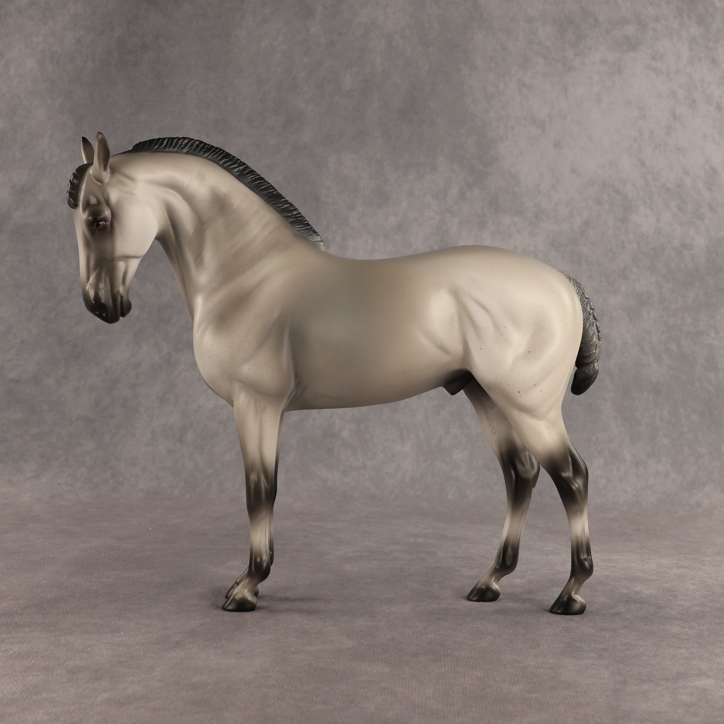 Valen LE-15 EFCM Andalusian by Anna Rieck PFP26