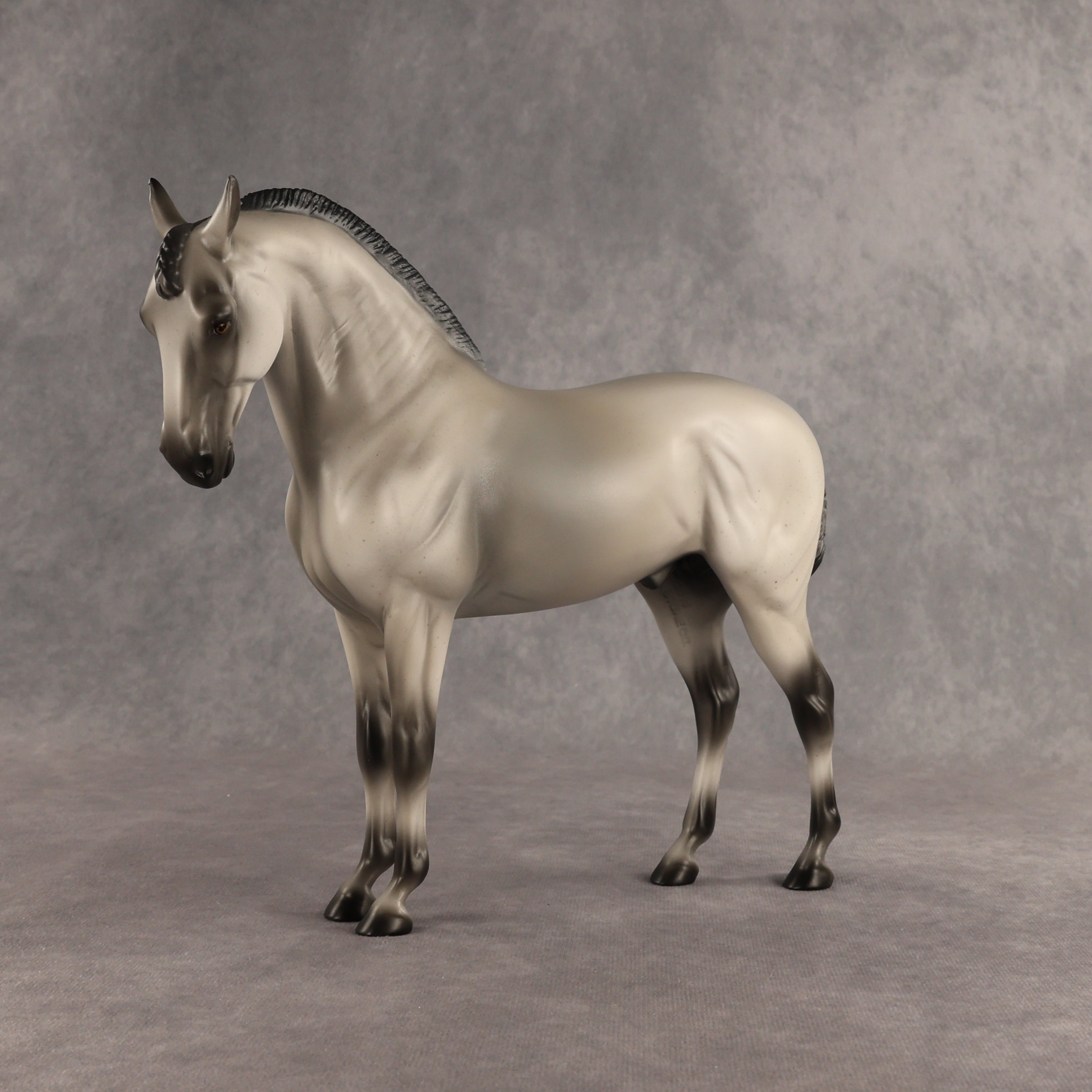 Valen LE-15 EFCM Andalusian by Anna Rieck PFP26