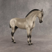 Valen LE-15 EFCM Andalusian by Anna Rieck PFP26