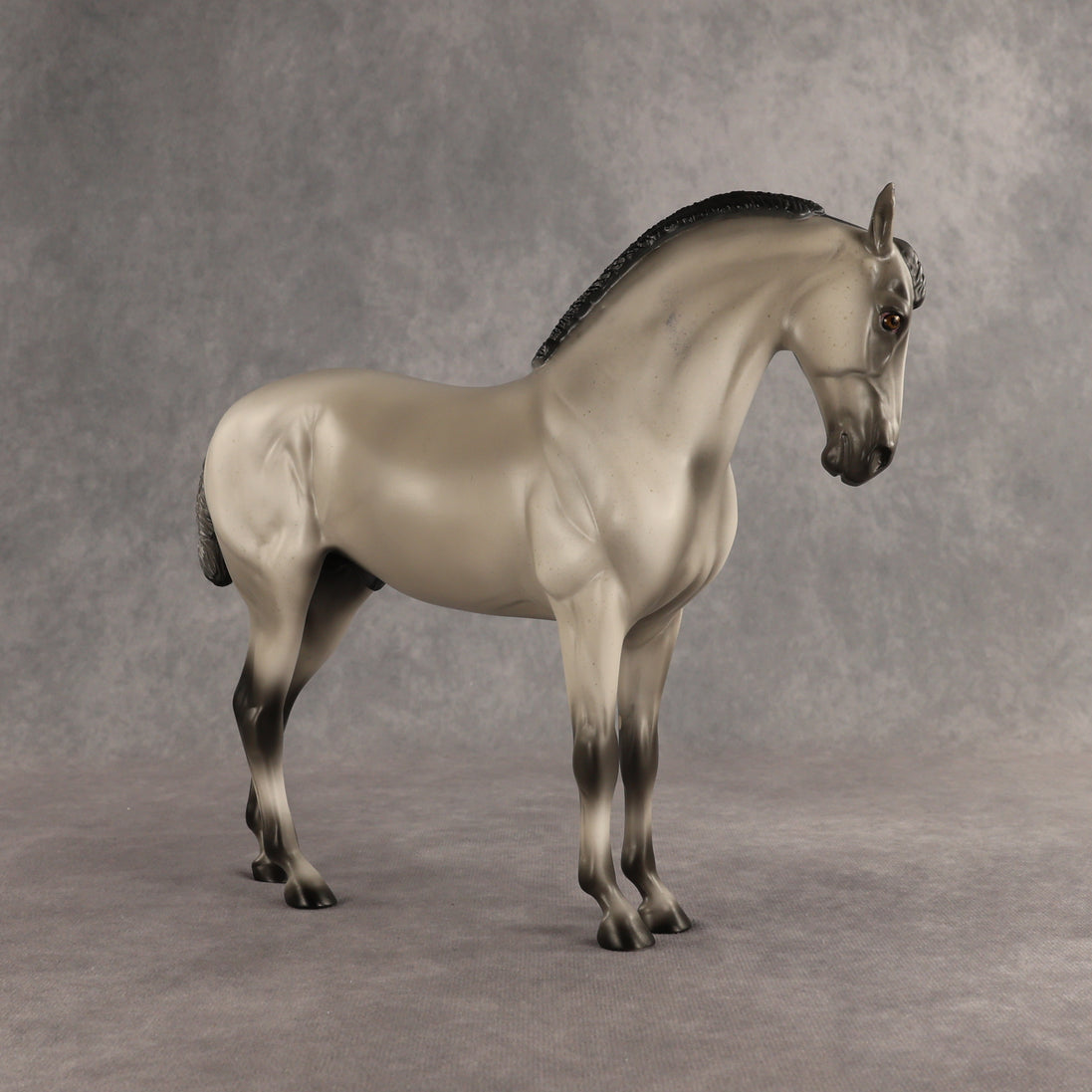 Valen LE-15 EFCM Andalusian by Anna Rieck PFP26