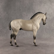 Valen LE-15 EFCM Andalusian by Anna Rieck PFP26