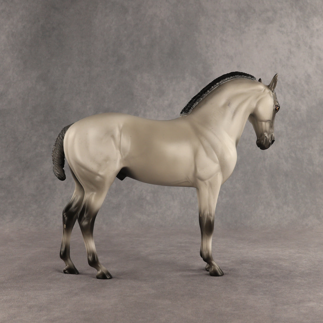 Valen LE-15 EFCM Andalusian by Anna Rieck PFP26