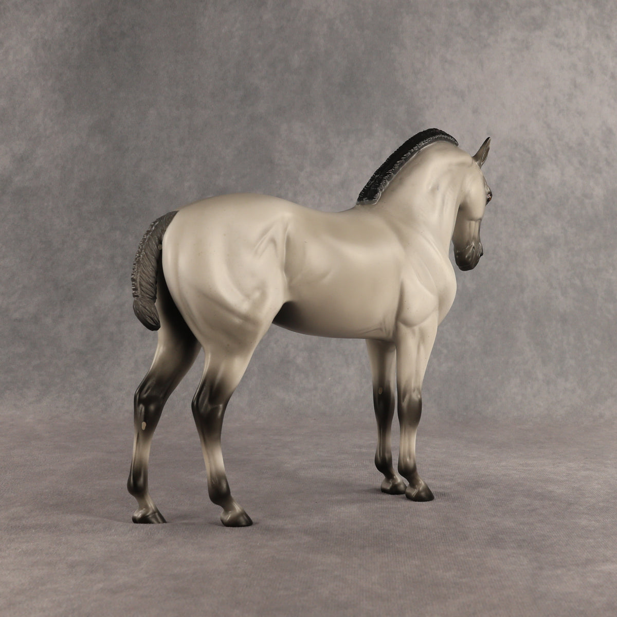 Valen LE-15 EFCM Andalusian by Anna Rieck PFP26