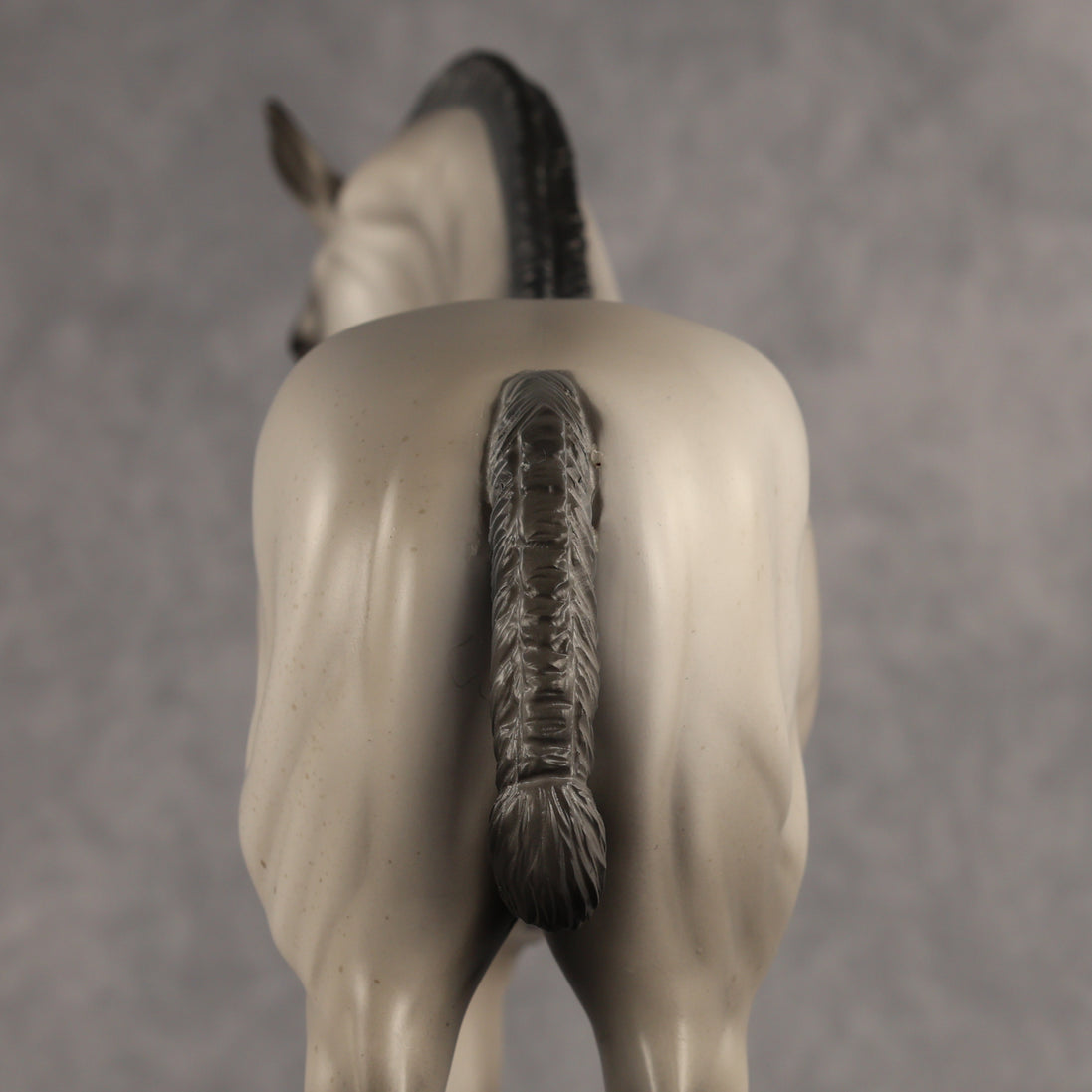 Valen LE-15 EFCM Andalusian by Anna Rieck PFP26