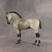 Valen LE-15 EFCM Andalusian by Anna Rieck PFP26