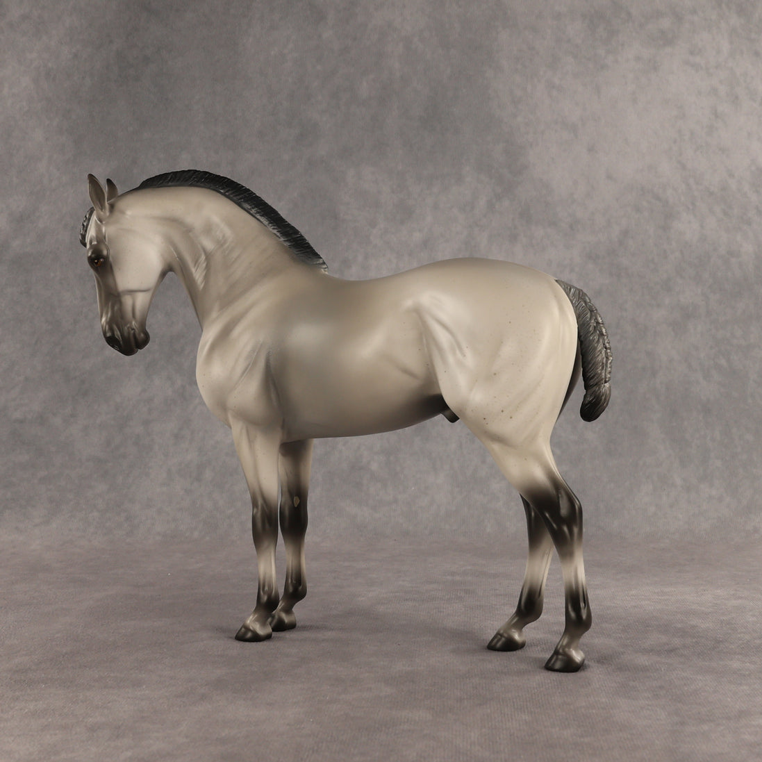 Valen LE-15 EFCM Andalusian by Anna Rieck PFP26
