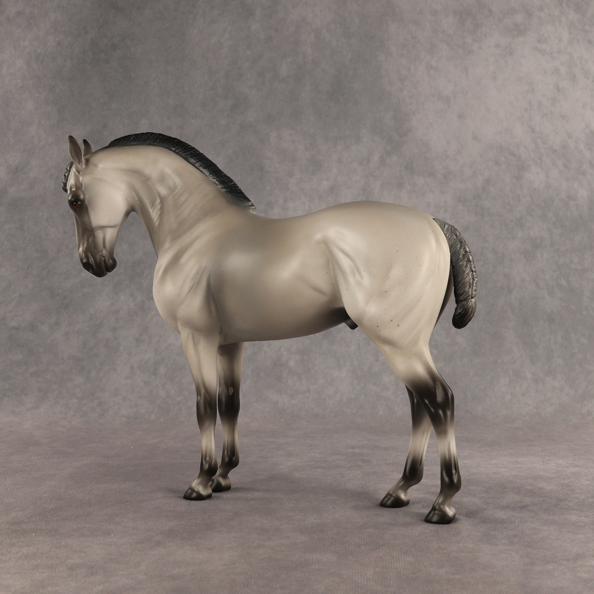 Valen LE-15 EFCM Andalusian by Anna Rieck PFP26