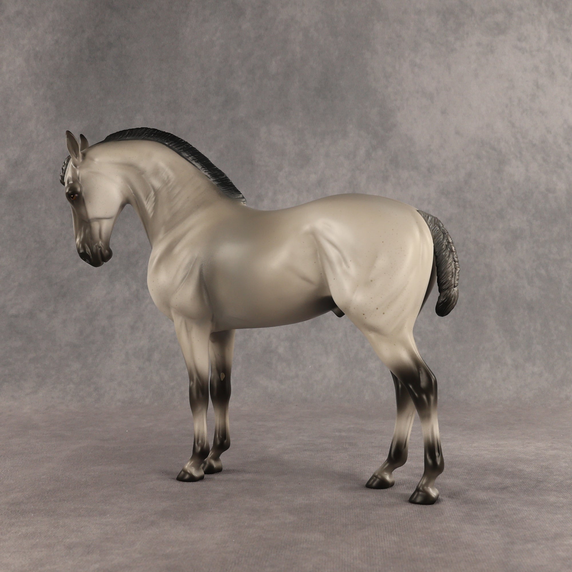 Valen LE-15 EFCM Andalusian by Anna Rieck PFP26