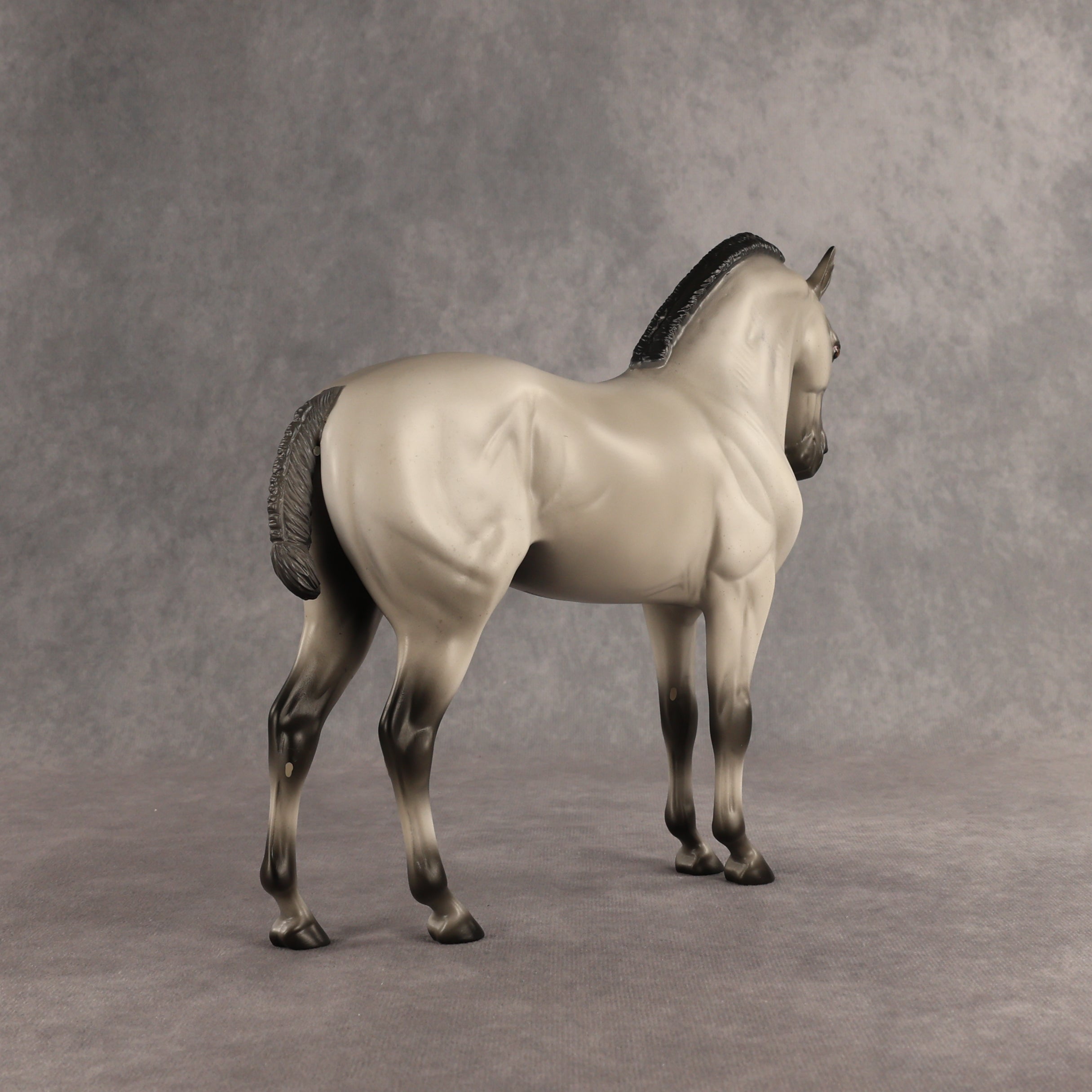 Valen LE-15 EFCM Andalusian by Anna Rieck PFP26