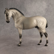 Valen LE-15 EFCM Andalusian by Anna Rieck PFP26